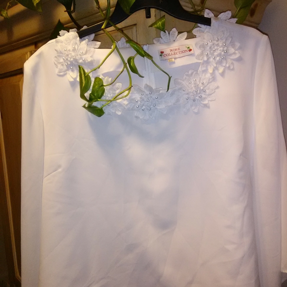 Rose Collection Blouse - Picture 6 of 6